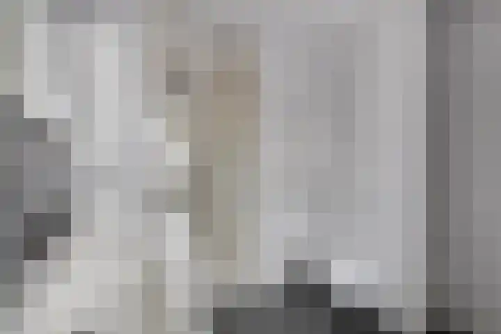 Hensjesweg 18 Barneveld thumbnail 22