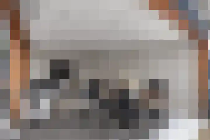 Hensjesweg 18 Barneveld thumbnail 31