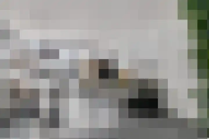 Hensjesweg 18 Barneveld thumbnail 6