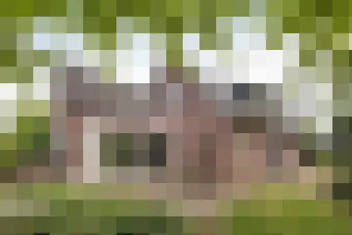 Heppenweg 5 Langeveen thumbnail 20