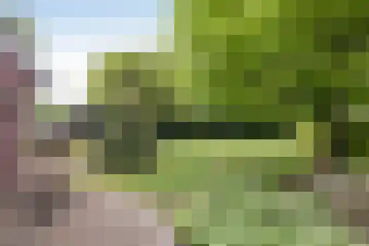 Heppenweg 5 Langeveen thumbnail 21