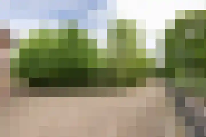 Heppenweg 5 Langeveen thumbnail 22