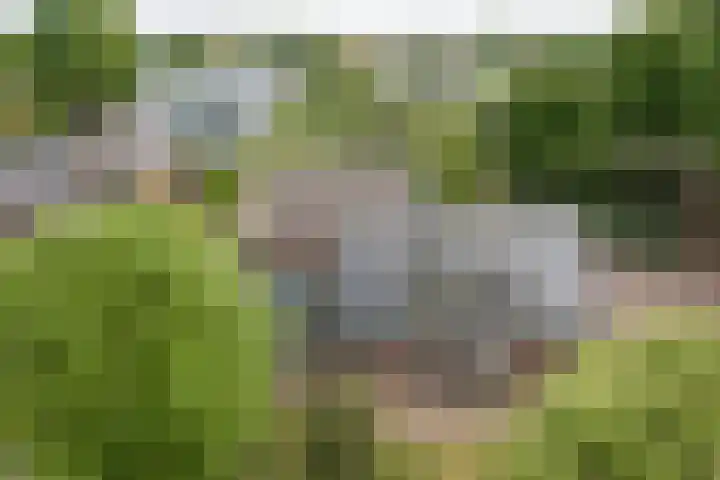 Heppenweg 5 Langeveen thumbnail 23