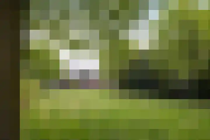 Heppenweg 5 Langeveen thumbnail 4