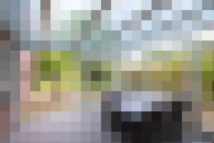 Heppenweg 5 Langeveen thumbnail 9