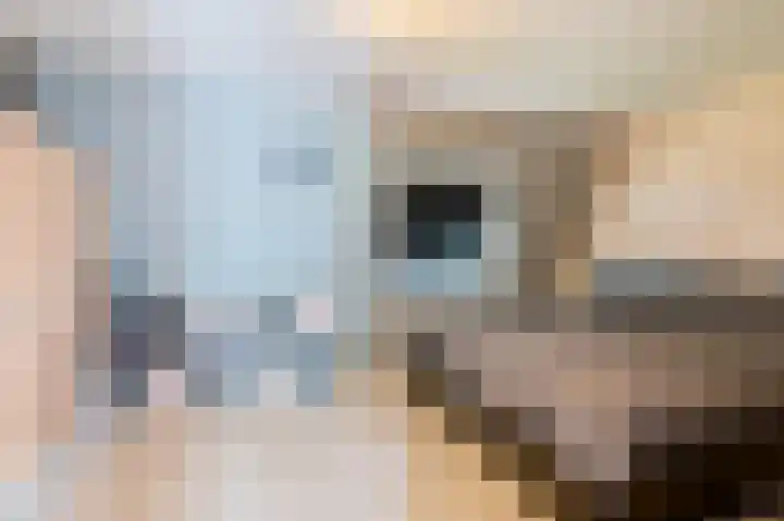 Heratemaheerd 13 Groningen thumbnail 16