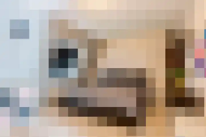 Heratemaheerd 13 Groningen thumbnail 17