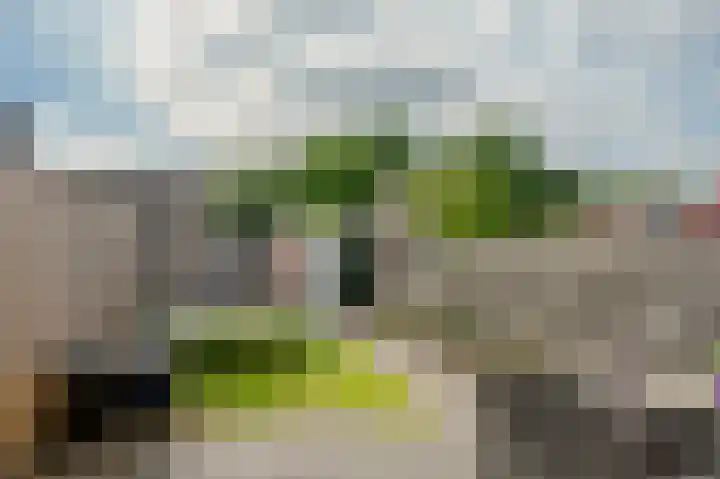 Heratemaheerd 13 Groningen thumbnail 32