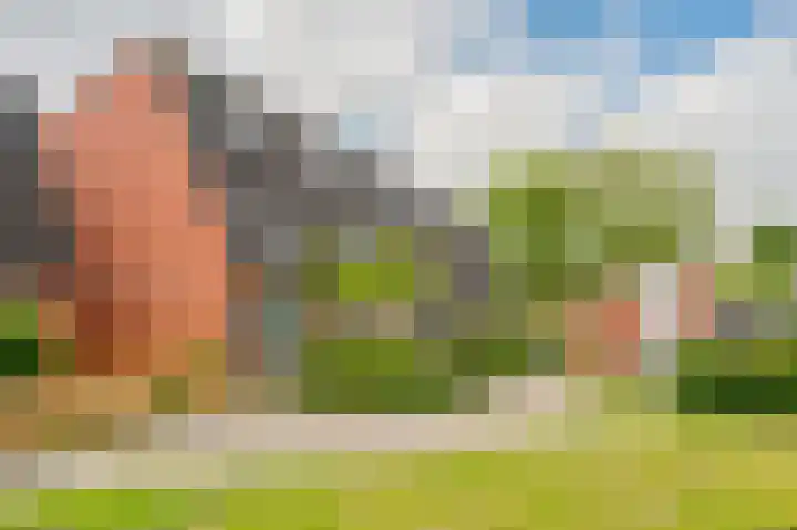 Heratemaheerd 13 Groningen thumbnail 4