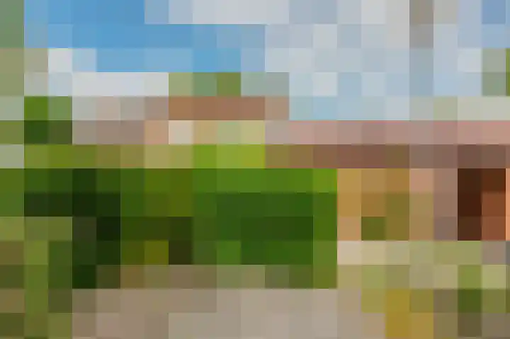 Heratemaheerd 13 Groningen thumbnail 40