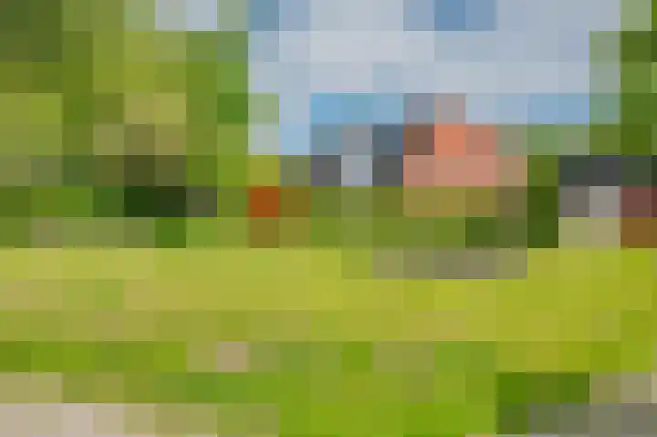 Heratemaheerd 13 Groningen thumbnail 41