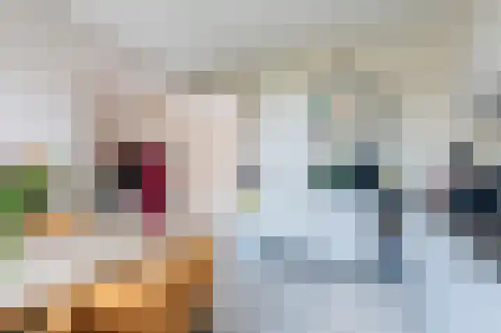 Heratemaheerd 13 Groningen thumbnail 8