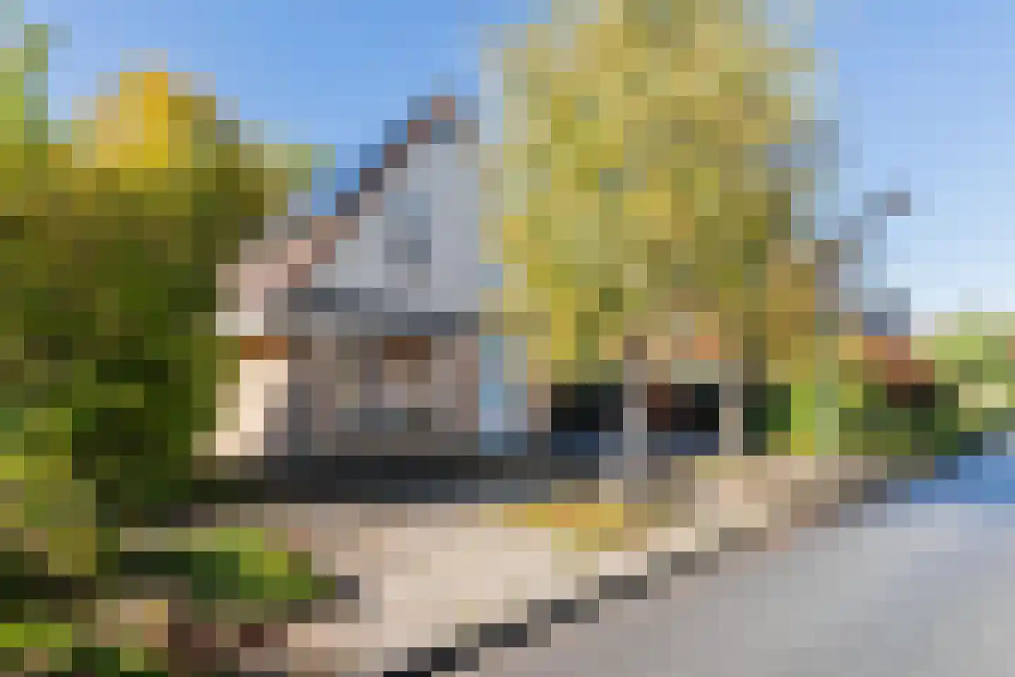 Heratemaheerd 8 Groningen thumbnail 10
