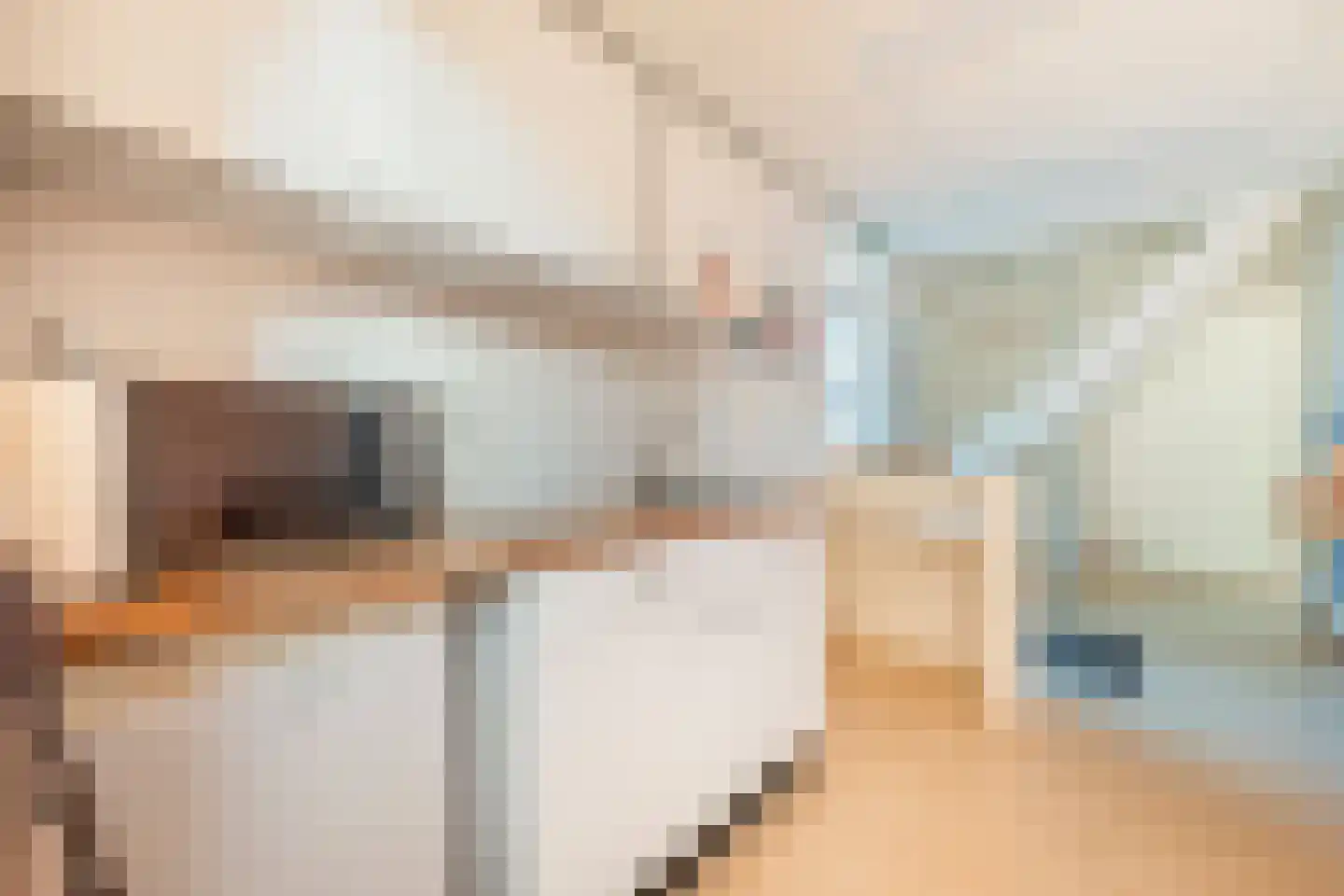 Heratemaheerd 8 Groningen thumbnail 16