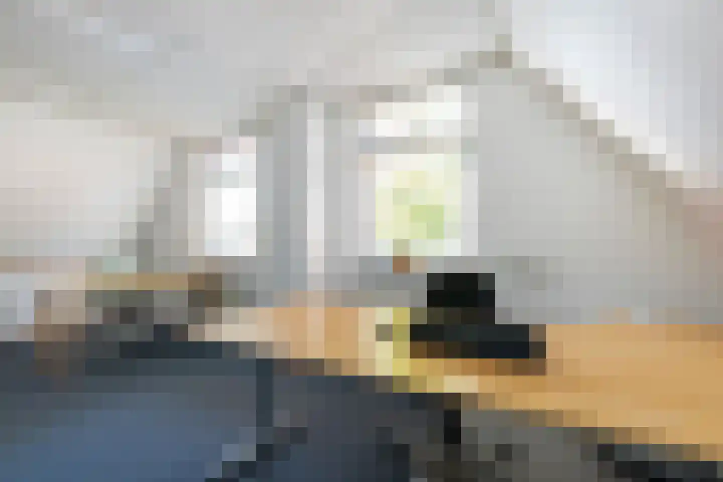 Heratemaheerd 8 Groningen thumbnail 27