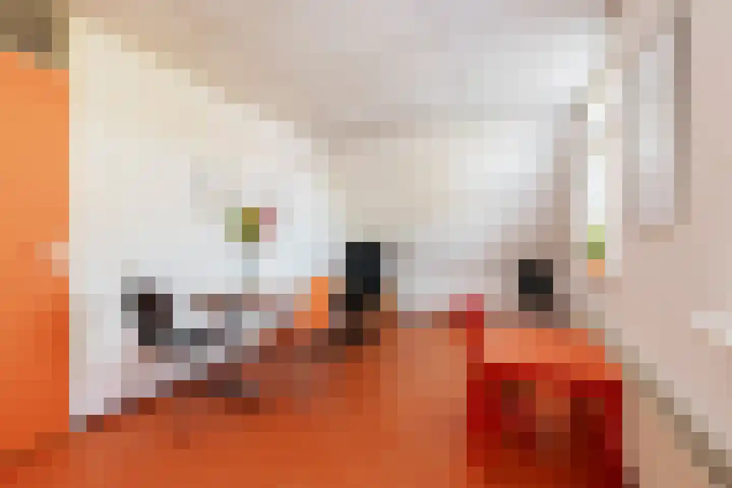 Heratemaheerd 8 Groningen thumbnail 29