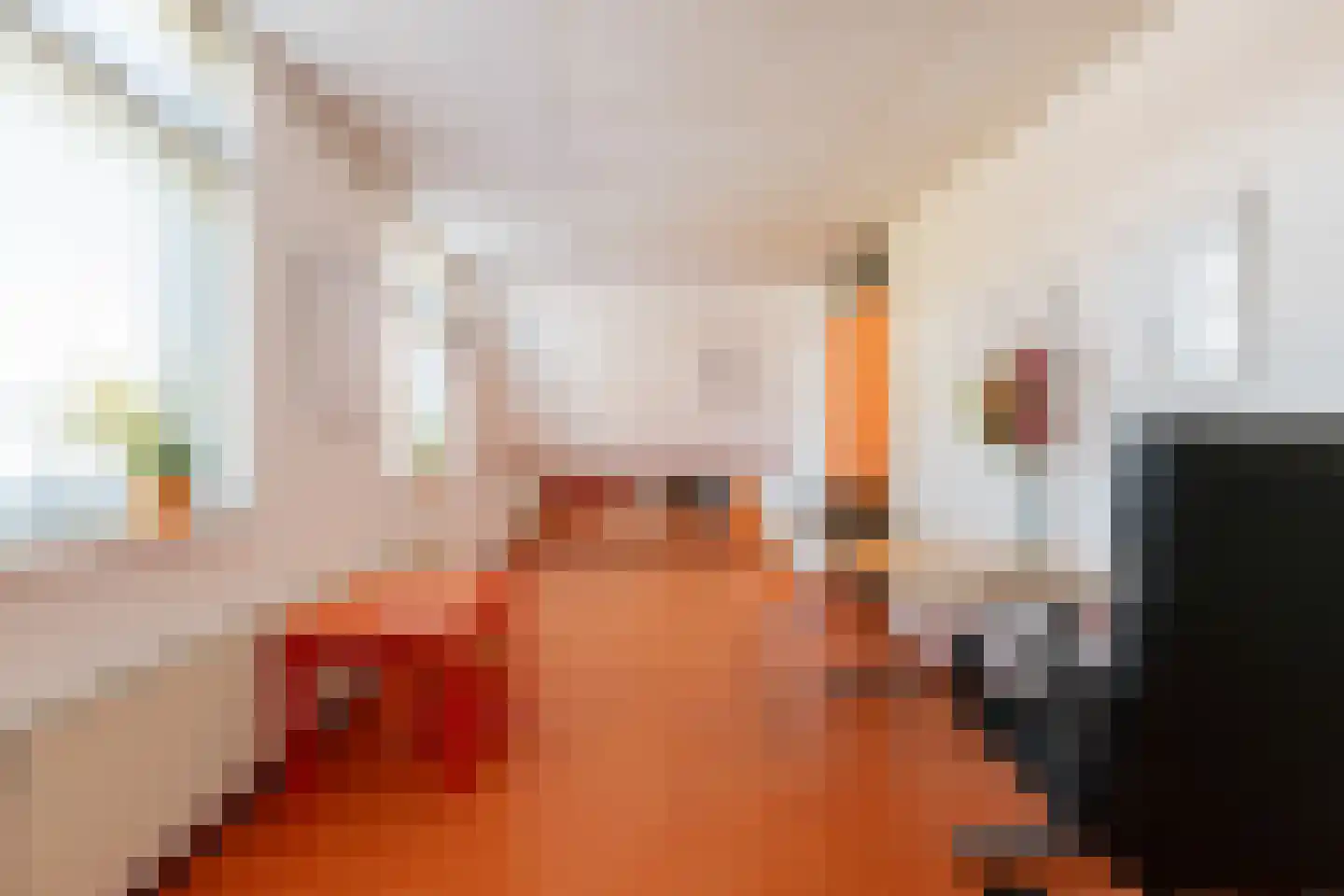 Heratemaheerd 8 Groningen thumbnail 30