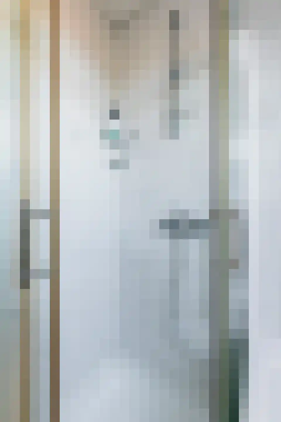 Heratemaheerd 8 Groningen thumbnail 33