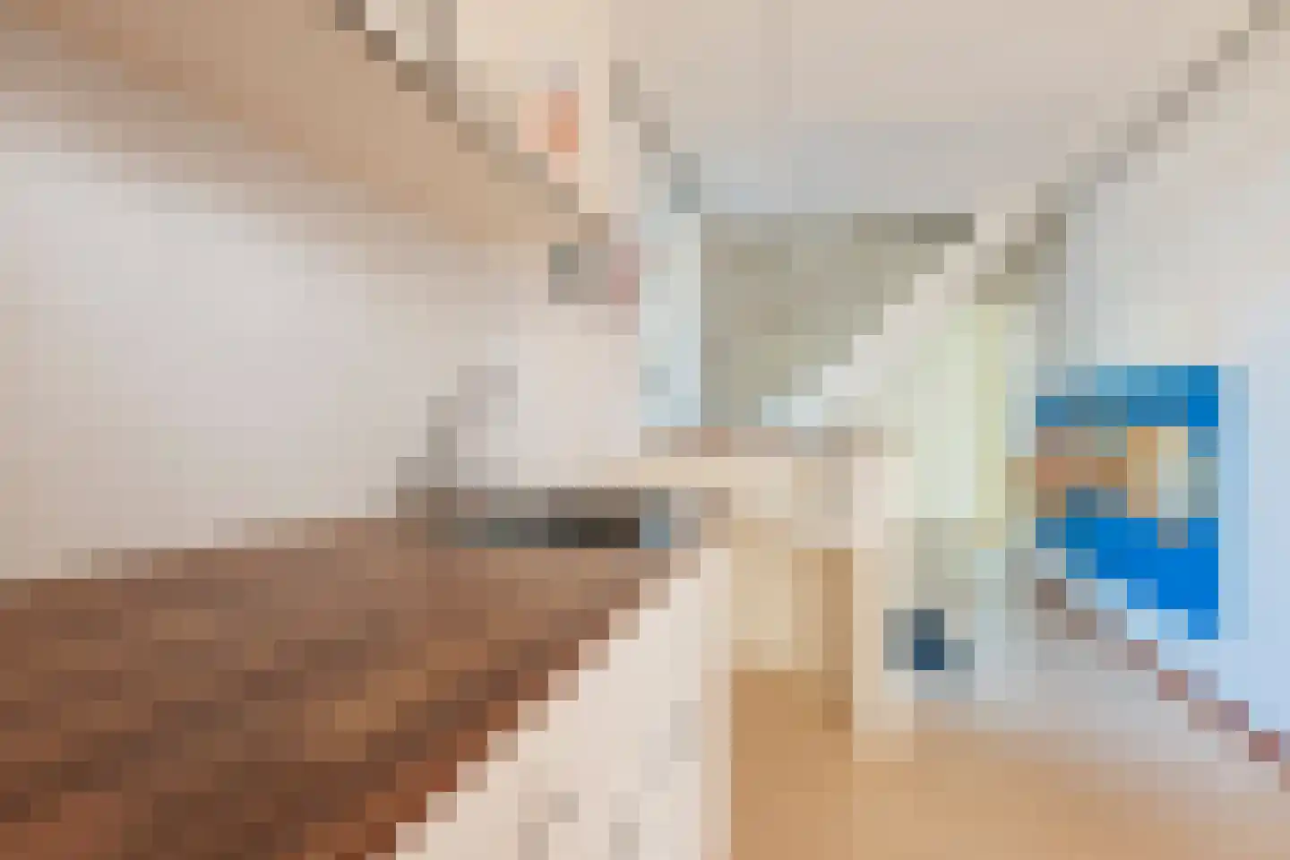 Heratemaheerd 8 Groningen thumbnail 4