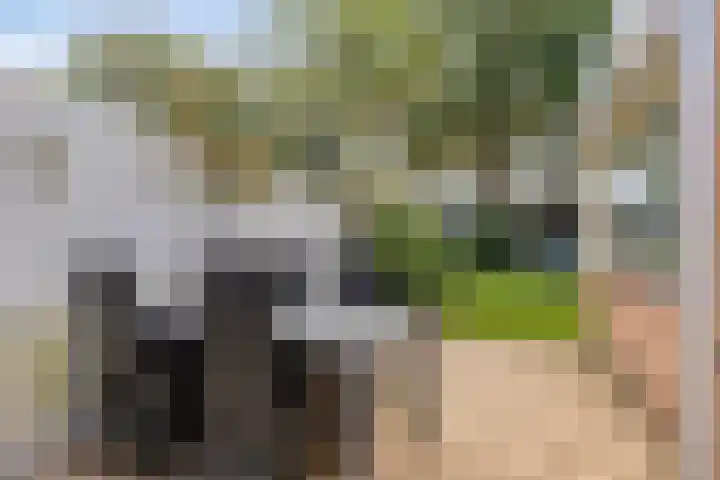 Heraultlaan 34 Eindhoven thumbnail 22