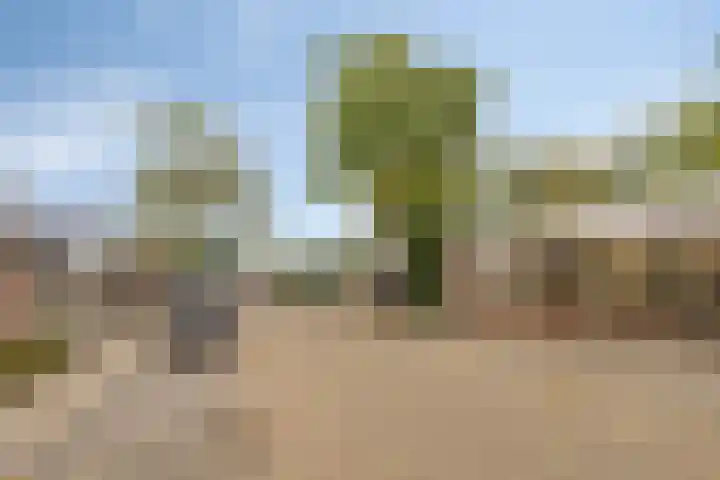 Heraultlaan 34 Eindhoven thumbnail 28