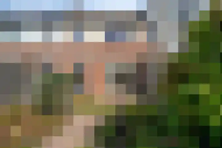 Heraultlaan 49 Eindhoven thumbnail 27
