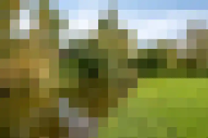 Heraultlaan 49 Eindhoven thumbnail 31