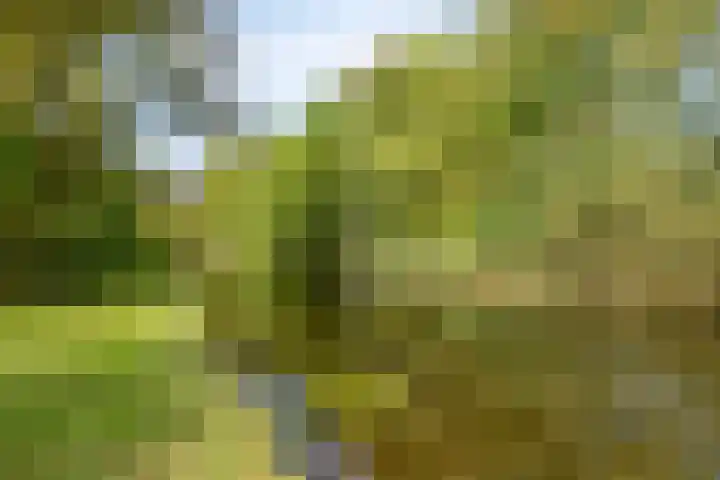 Heraultlaan 49 Eindhoven thumbnail 32