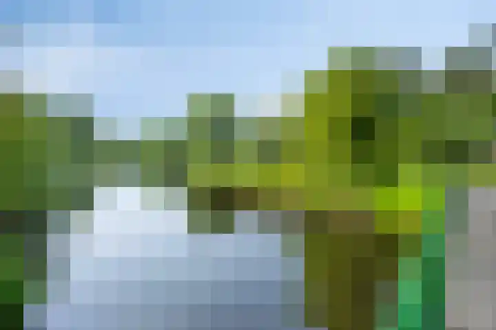Heraultlaan 49 Eindhoven thumbnail 37