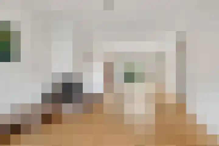 Heraultlaan 49 Eindhoven thumbnail 9