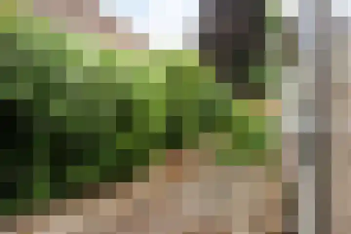 Heraultlaan 50 Eindhoven thumbnail 33