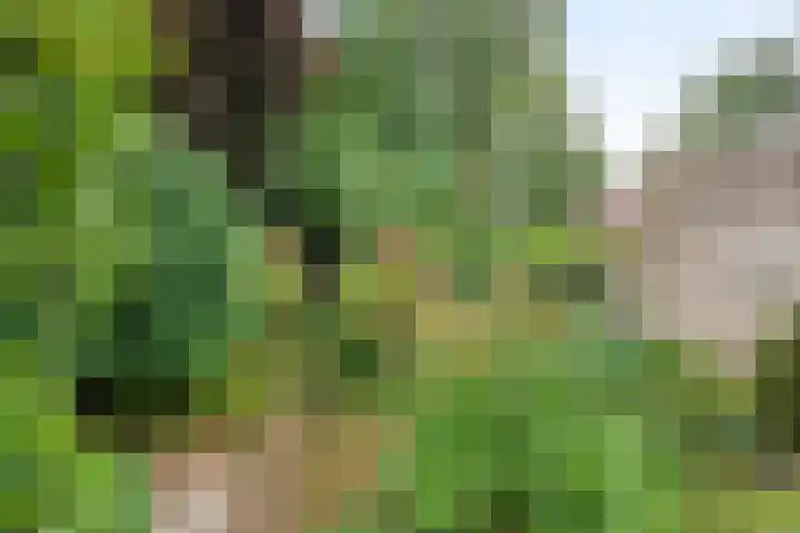 Heraultlaan 50 Eindhoven thumbnail 35