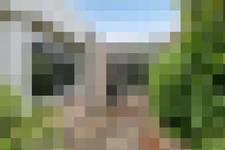 Heraultlaan 50 Eindhoven thumbnail 36