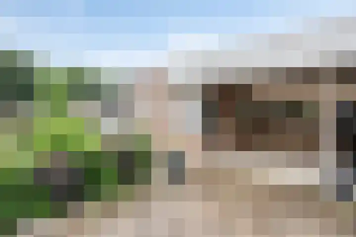 Heraultlaan 50 Eindhoven thumbnail 9