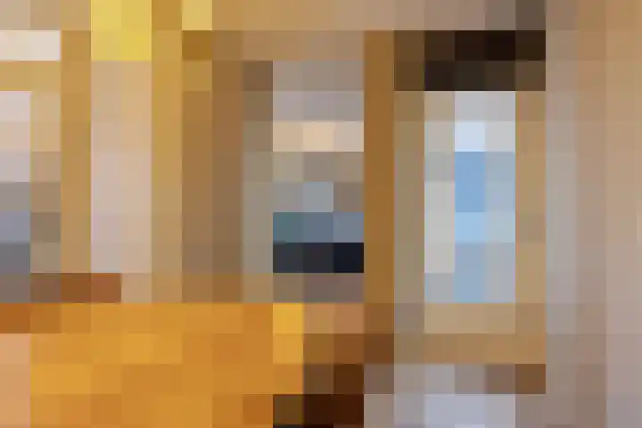 Heraut 14 Oss thumbnail 14