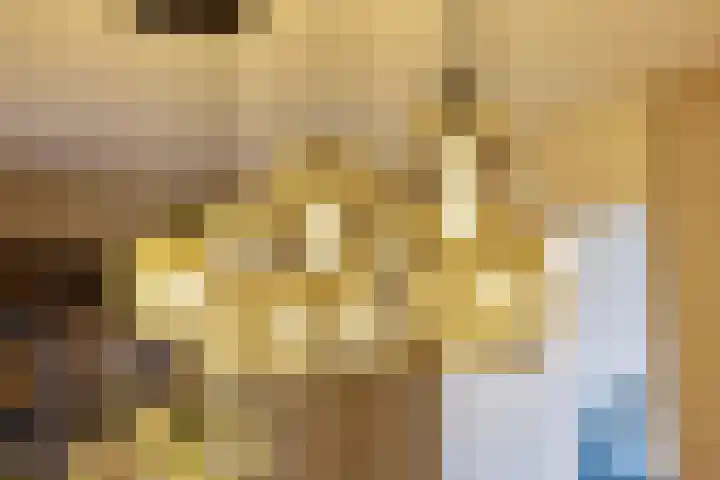 Heraut 14 Oss thumbnail 15