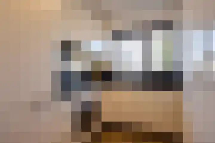 Heraut 14 Oss thumbnail 17