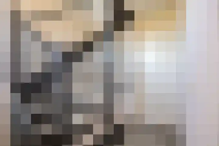 Heraut 14 Oss thumbnail 22