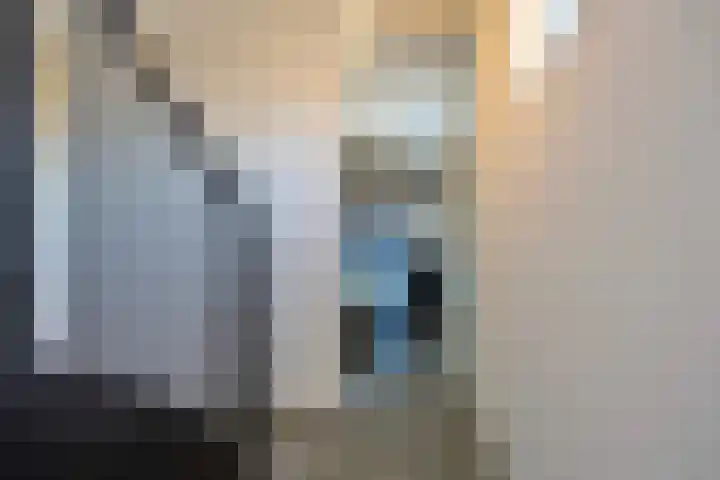 Heraut 14 Oss thumbnail 23