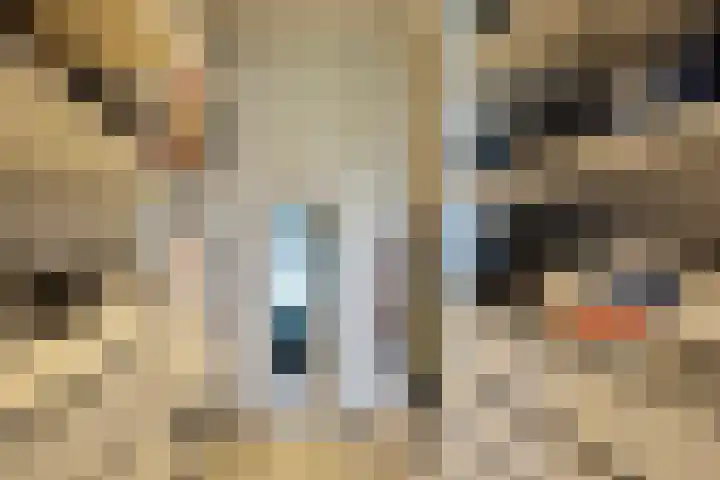 Heraut 14 Oss thumbnail 26