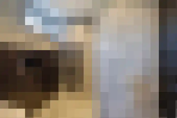 Heraut 14 Oss thumbnail 27