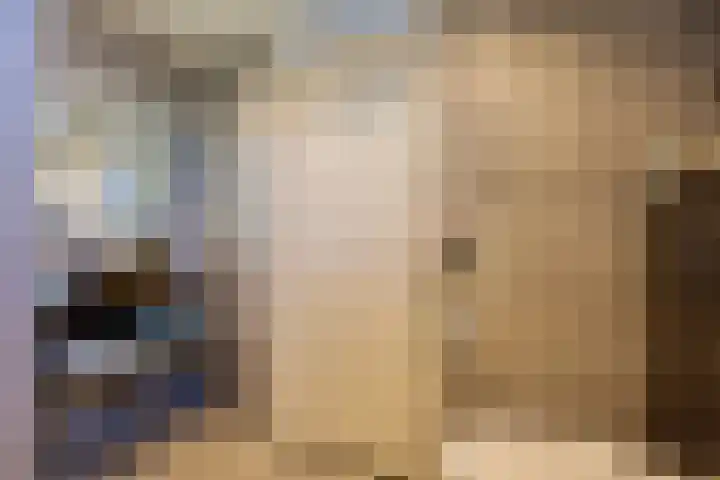Heraut 14 Oss thumbnail 29
