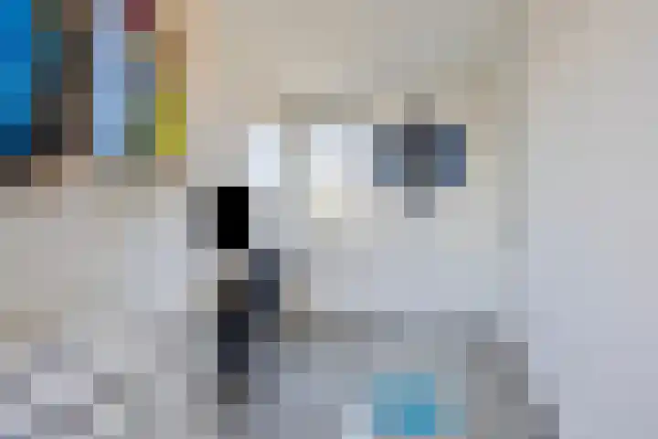 Heraut 14 Oss thumbnail 34