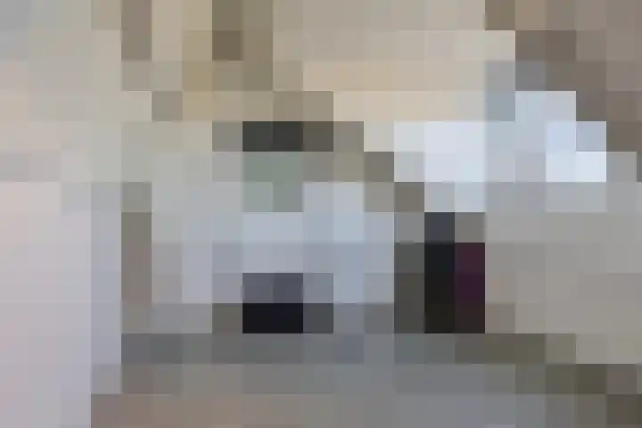 Heraut 14 Oss thumbnail 35
