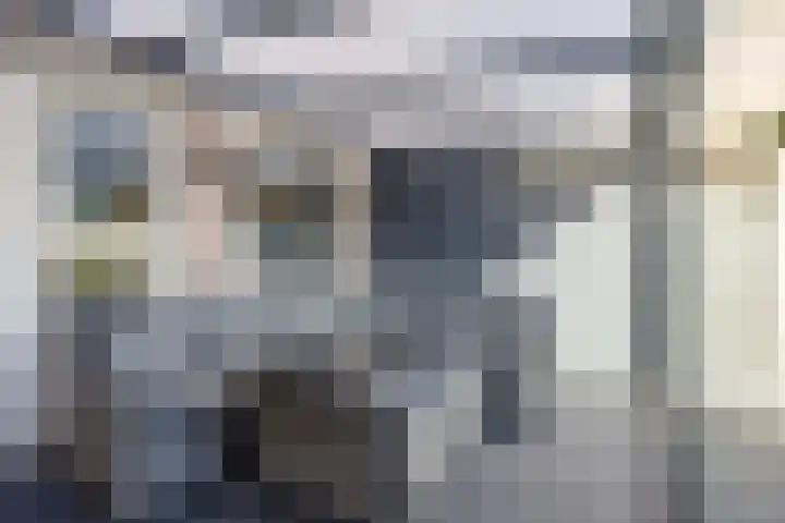 Heraut 14 Oss thumbnail 38
