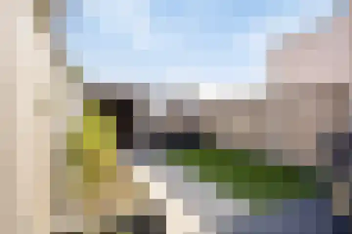 Heraut 14 Oss thumbnail 40