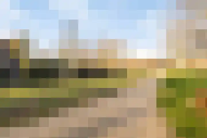Heraut 14 Oss thumbnail 45