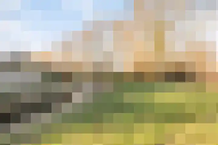 Heraut 14 Oss thumbnail 46