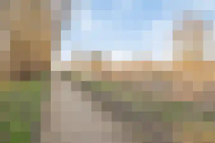 Heraut 14 Oss thumbnail 48