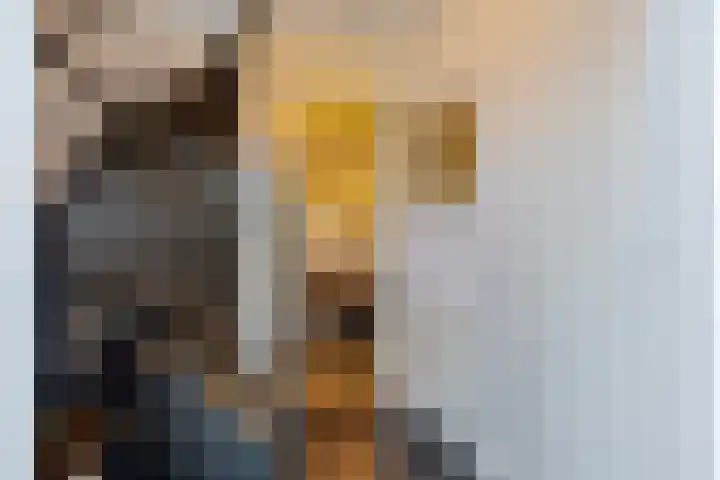 Heraut 14 Oss thumbnail 5